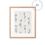 Dreamy Daisies Cuadro