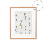 Dreamy Daisies Cuadro