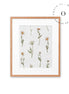 Dreamy Daisies Cuadro