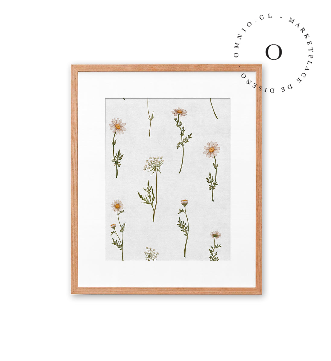 Dreamy Daisies Cuadro