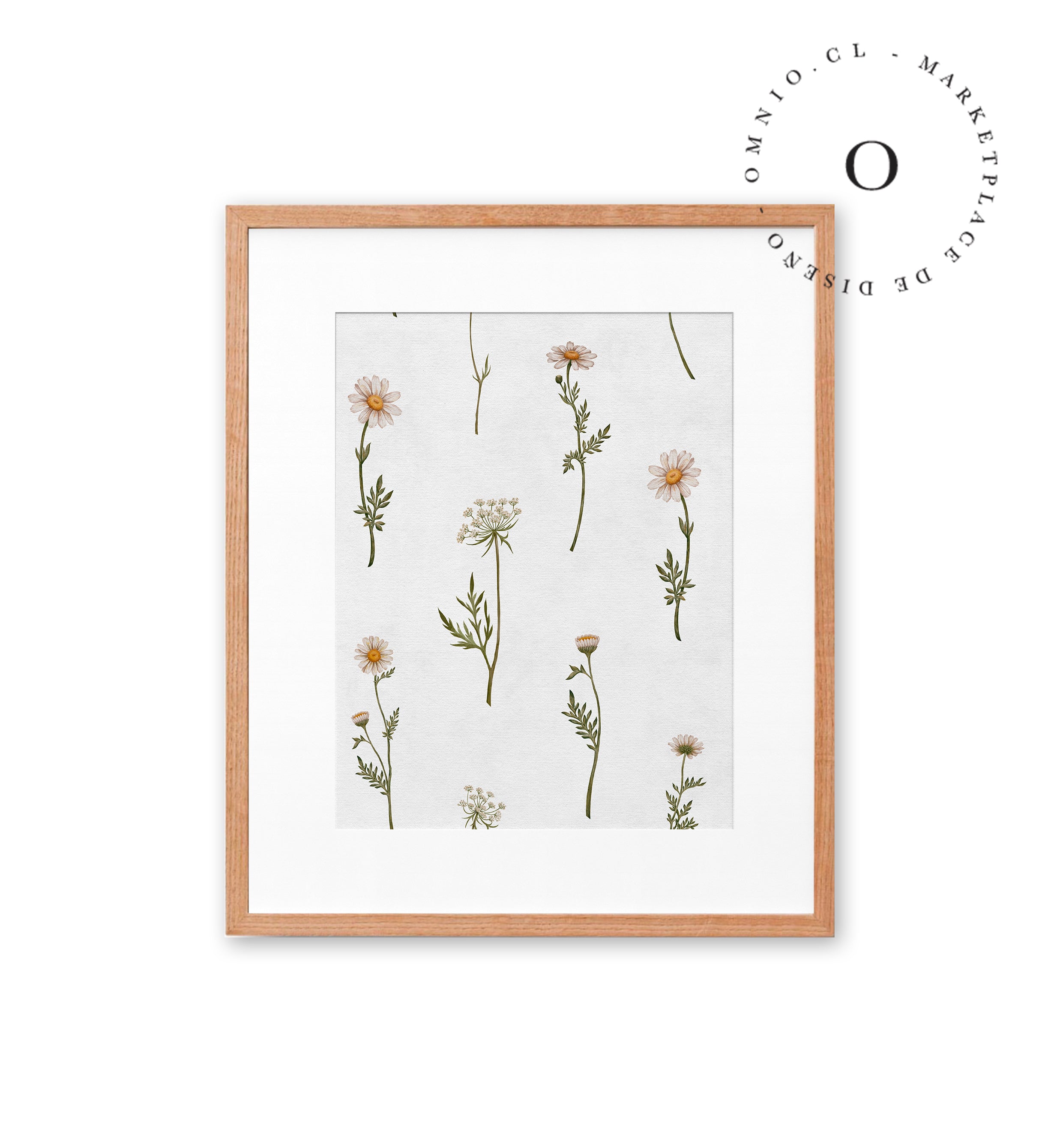 Dreamy Daisies Cuadro