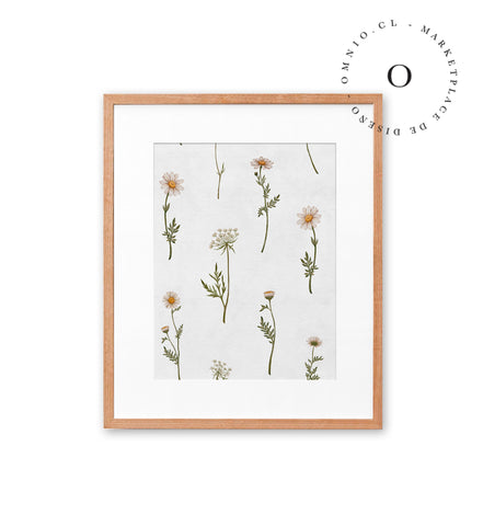 Dreamy Daisies Cuadro