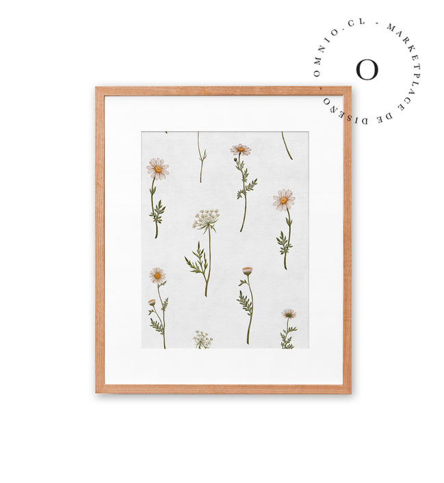 Dreamy Daisies Cuadro