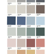 Rose / The Wall Colors