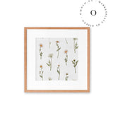 Dreamy Daisies Cuadro