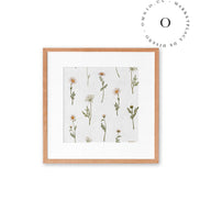 Dreamy Daisies Cuadro