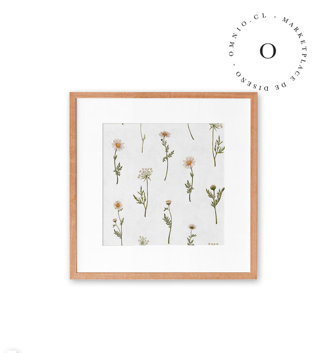 Dreamy Daisies Cuadro