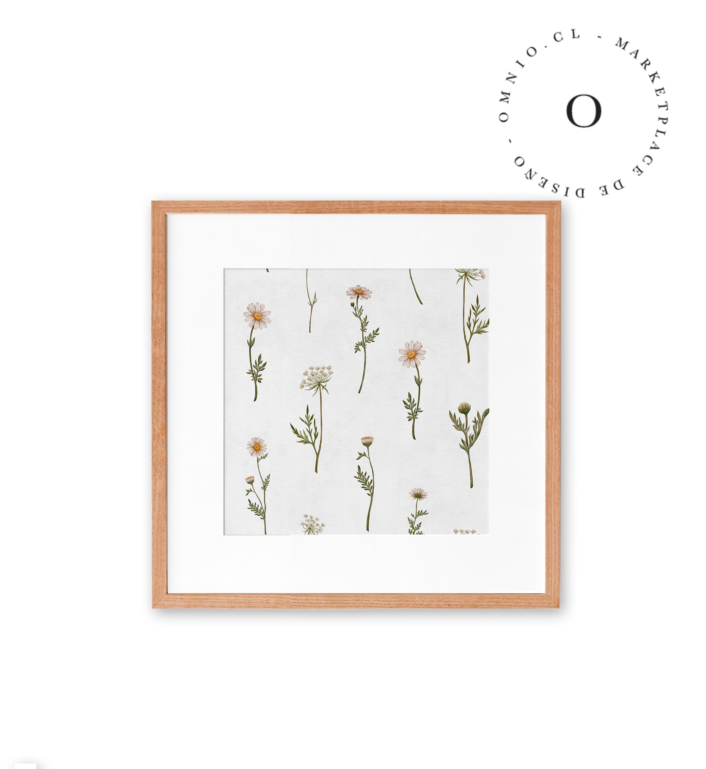 Dreamy Daisies Cuadro