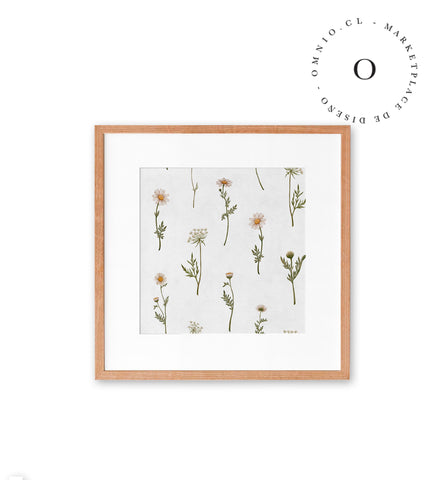 Dreamy Daisies Cuadro