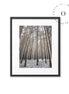 Bosque Nevado Cuadro