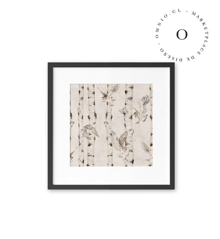 Birch And Owls White Cuadro