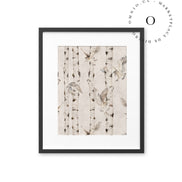 Birch And Owls White Cuadro