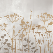 Soft Autumn