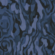 Ettore Veins