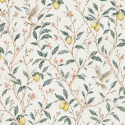 Lemon Blossom