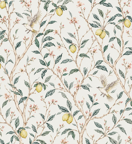 Lemon Blossom