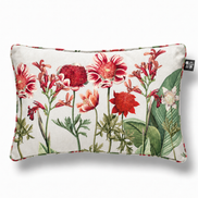 Classic Red Flower