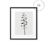 Detail Tree Cuadro