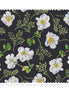 Autumn Anemone