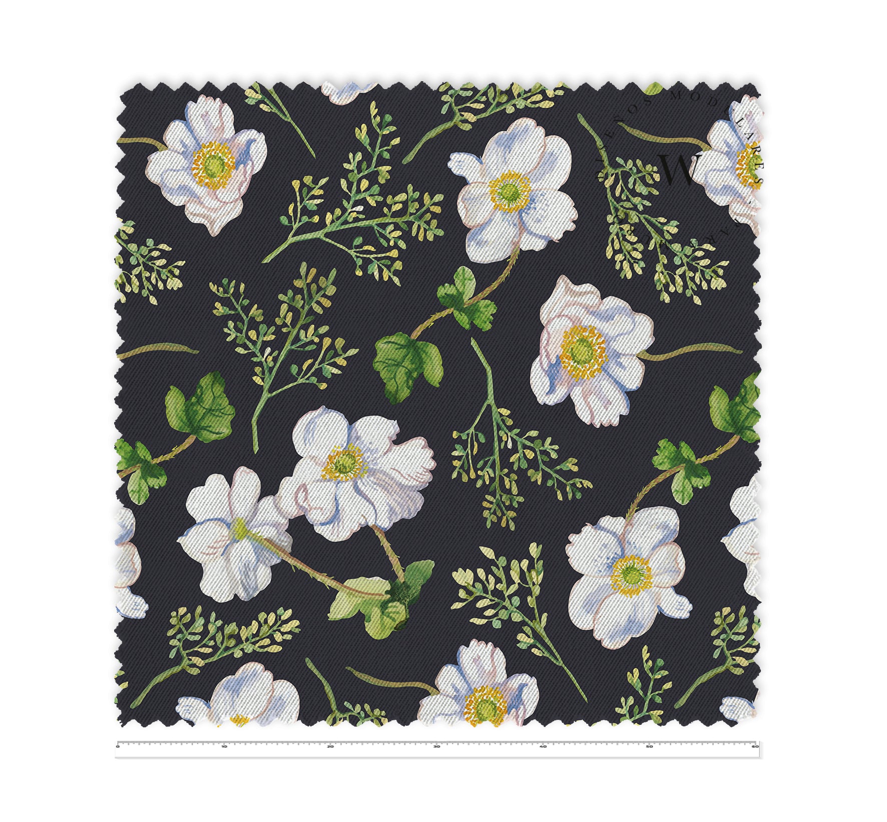 Autumn Anemone