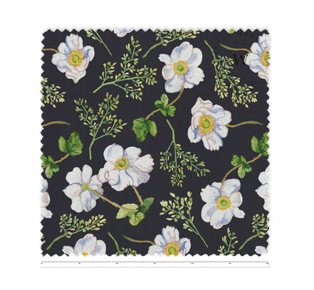 Autumn Anemone