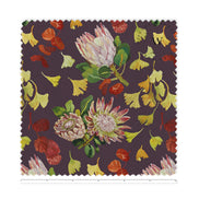 Autumn Proteas
