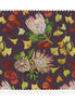 Autumn Proteas