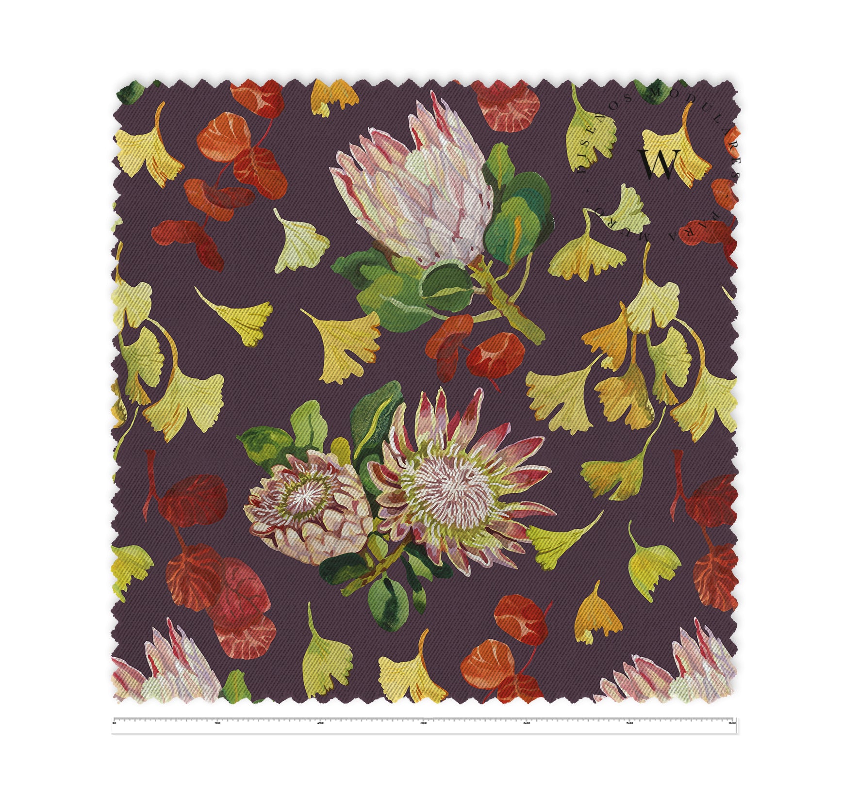Autumn Proteas