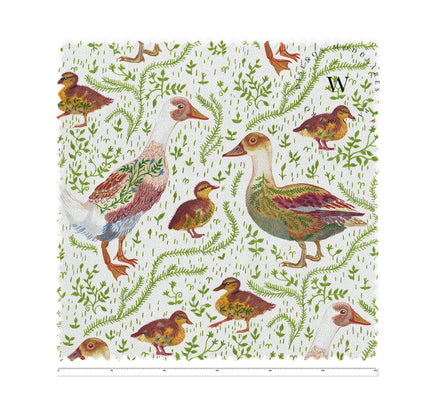 Ducks & Ducklings
