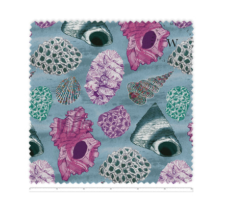Elegant Shells