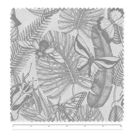 Kafka Grey