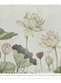Lovely Water Lillies