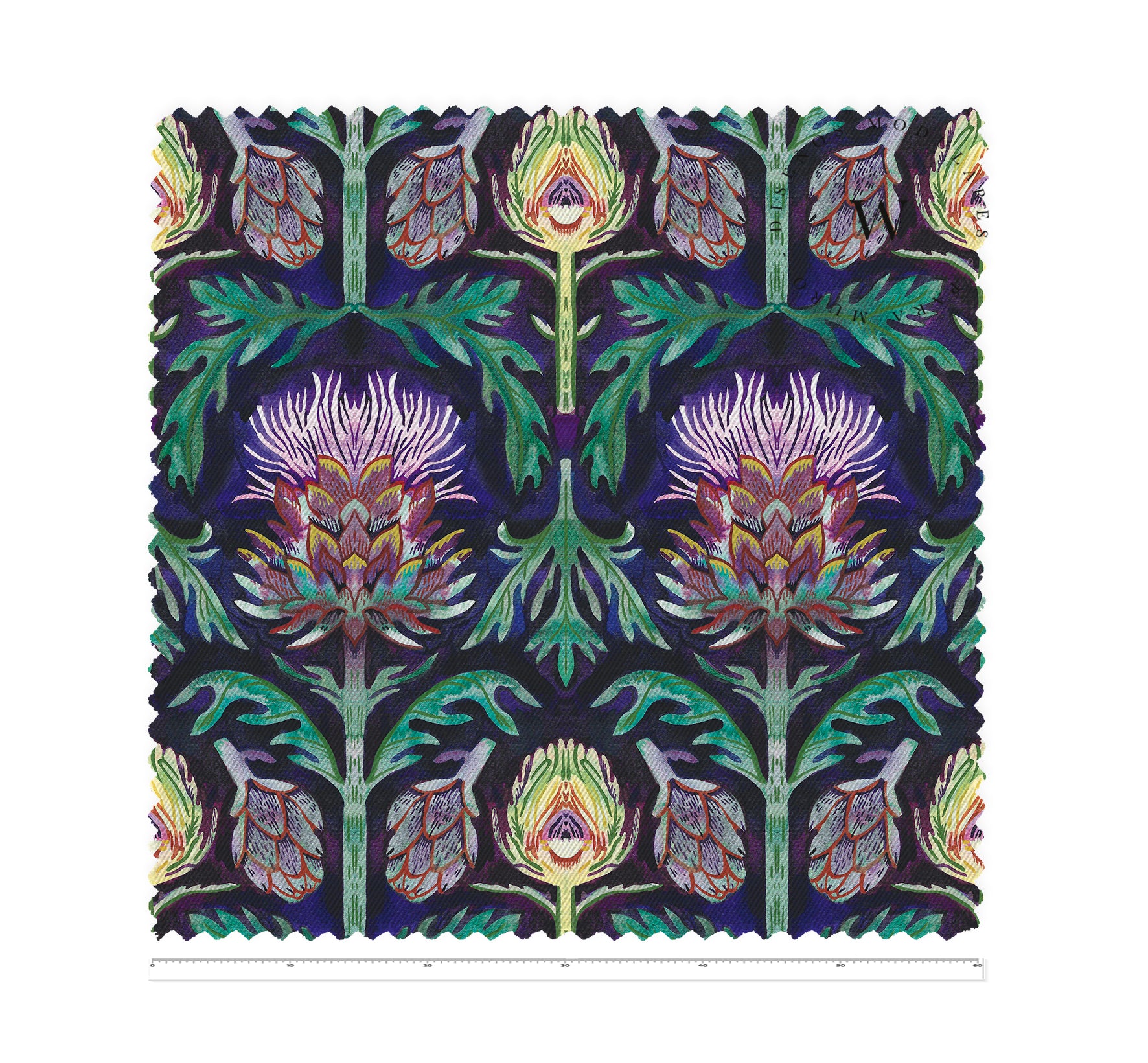Ornamental Artichoke