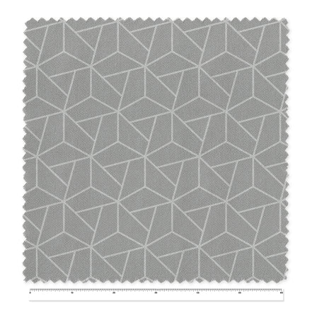 Pitagoras Grey