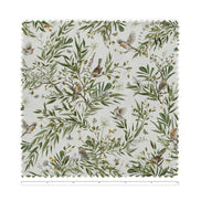 Playful Robins White