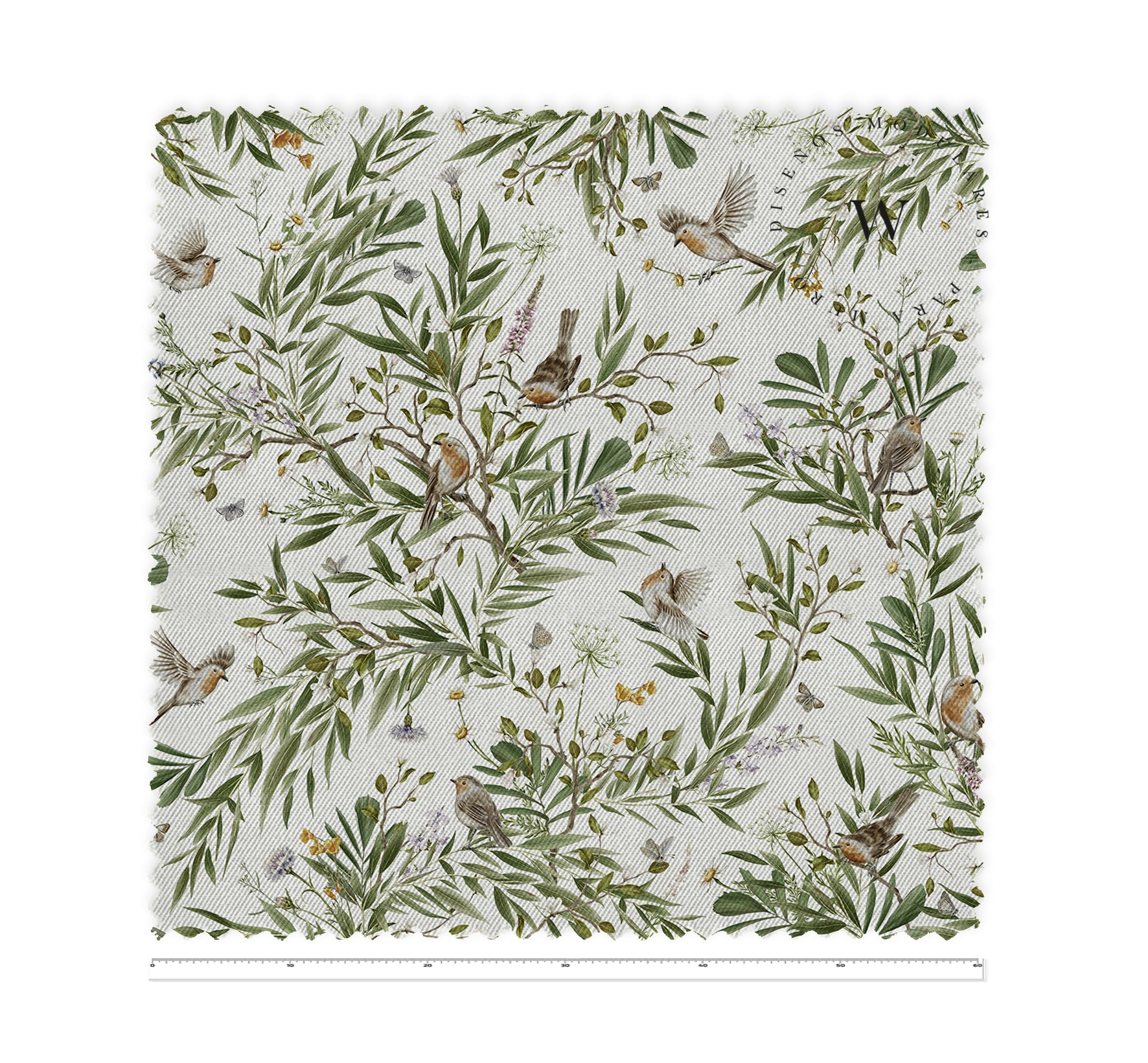 Playful Robins White