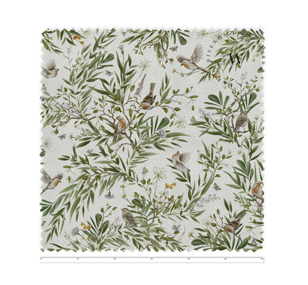 Playful Robins White