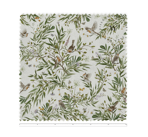 Playful Robins White