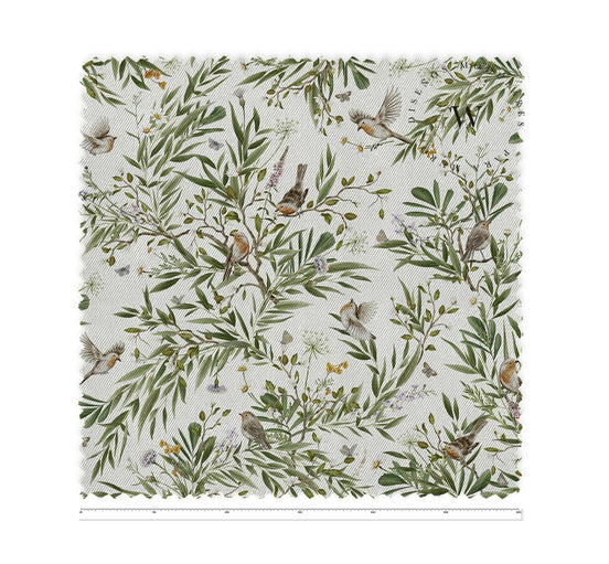 Playful Robins White