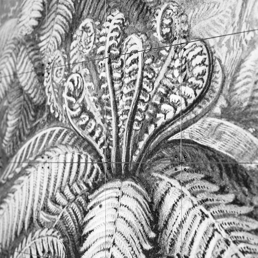 Mural IXXI - Ferns