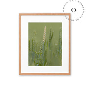 Nature Green Cuadro