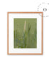 Nature Green Cuadro