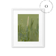 Nature Green Cuadro