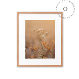 Fields Of Serenity Cuadro