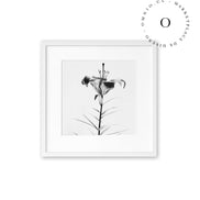 Flower Cuadro