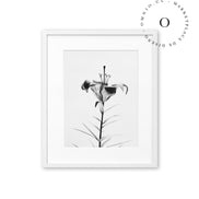 Flower Cuadro