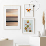 Mariposa Naranja Cuadro