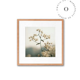 Nature Flower Cuadro