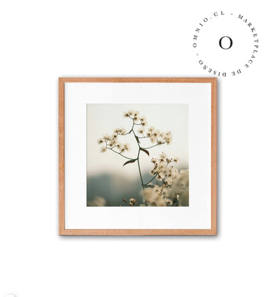 Nature Flower Cuadro