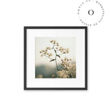 Nature Flower Cuadro